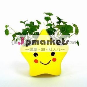 セラミック黄色幸運木スターのお金の草の頭植栽植物diyホームギフト問屋・仕入れ・卸・卸売り