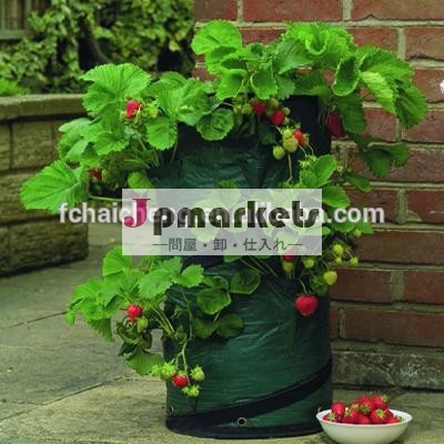 庭の野菜の袋のジャガイモを育てる/イチゴプランターバッグ問屋・仕入れ・卸・卸売り