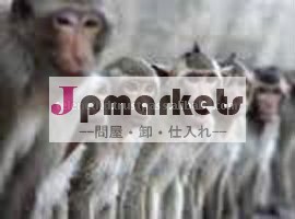 超音波猿リペラー問屋・仕入れ・卸・卸売り