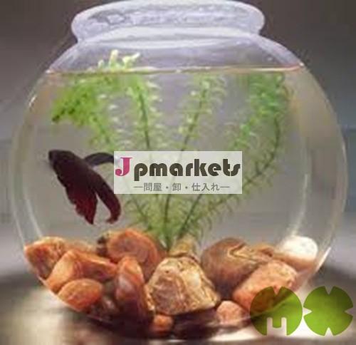 クリアな高品質の卸売プラスチック製の魚のボウル、 卸売透明なプラスチック製の魚のボウル問屋・仕入れ・卸・卸売り