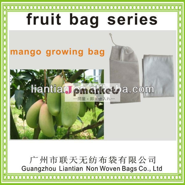 マンゴーの果実袋xt1047保護袋には、 tuvのフルーツ問屋・仕入れ・卸・卸売り