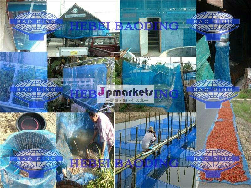 明るい青色のプラスチック製16メッシュネットガーデン植物保護用ネット問屋・仕入れ・卸・卸売り