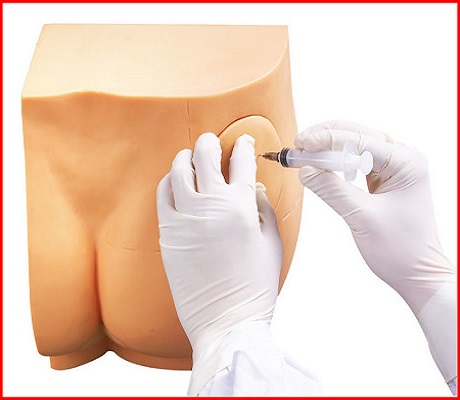 Gd/hs10d臀部筋肉注射シミュレーター( 介護用モデル、 医療モデル)-注入及び穿刺の器械問屋・仕入れ・卸・卸売り