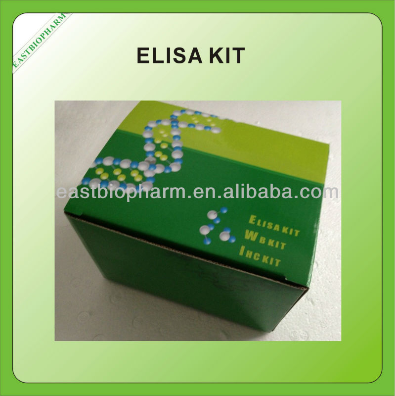 人間renalase( rnls) elisaキット-温度計問屋・仕入れ・卸・卸売り