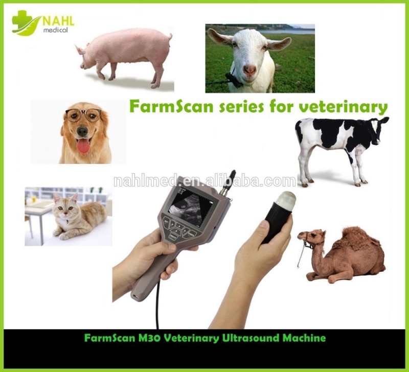 veternaryfarmscanm30熱い販売の携帯型超音波マシン牛のための羊豚馬妊娠の牛の乳製品-携帯用超音波診断装置問屋・仕入れ・卸・卸売り