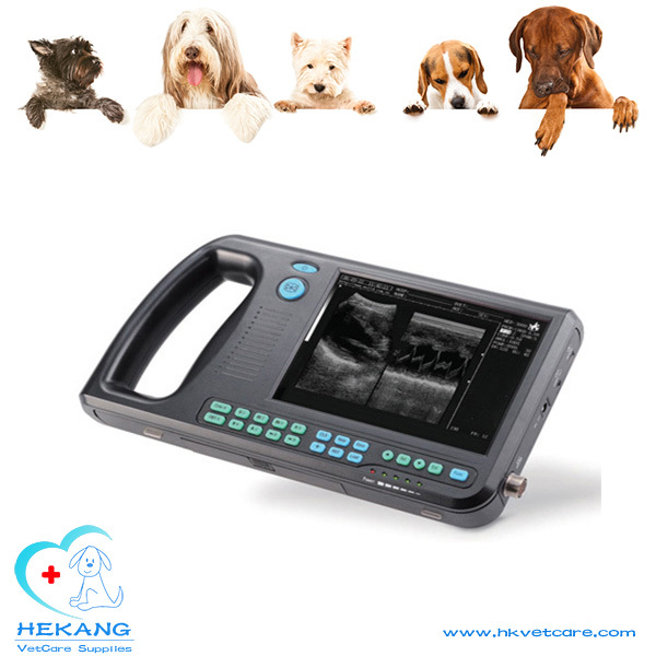ポータブル獣医超音波hk-3000v犬猫鳥のための-携帯用超音波診断装置問屋・仕入れ・卸・卸売り