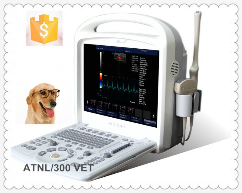 Atnl/300獣医獣医カラードップラーフルデジタルラップトップの超音波機器-色のドップラー超音波装置問屋・仕入れ・卸・卸売り