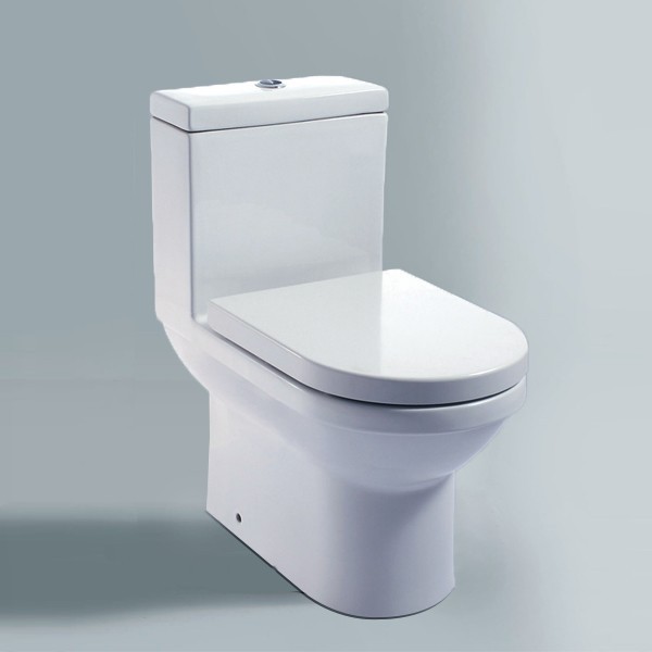 の浴室の設計セラミックワンピースのトイレ-トイレ問屋・仕入れ・卸・卸売り
