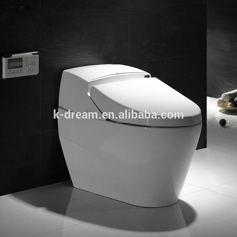 熱い販売の近代的なdeisgn席スマートセンサー電気ビデトイレ-トイレ問屋・仕入れ・卸・卸売り