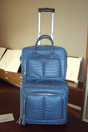 新しい到着の2014年トロリーバッグの荷物のトロリーケース-ラゲッジバッグ問屋・仕入れ・卸・卸売り