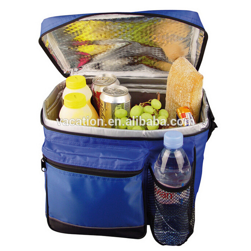 装飾的な12インチ食品の温暖化のための自転車のピクニックバッグ-ピクニックバッグ問屋・仕入れ・卸・卸売り