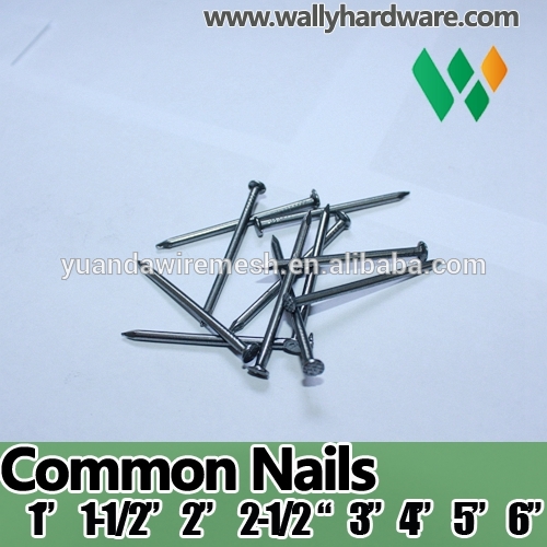 中国爪製造トップ品質明るいポリッシュ1/2 "3/4" 5/8 "1"インチ共通爪共通線ネイル-釘問屋・仕入れ・卸・卸売り