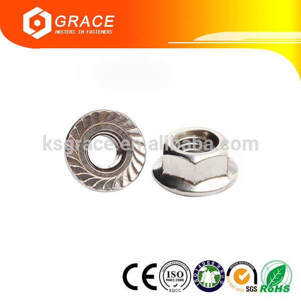 Stainless Steel Hex Serrated Flange Nut-ナット問屋・仕入れ・卸・卸売り