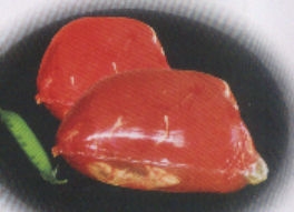 PVDC/PEの食糧収縮フィルム-フィルム類問屋・仕入れ・卸・卸売り