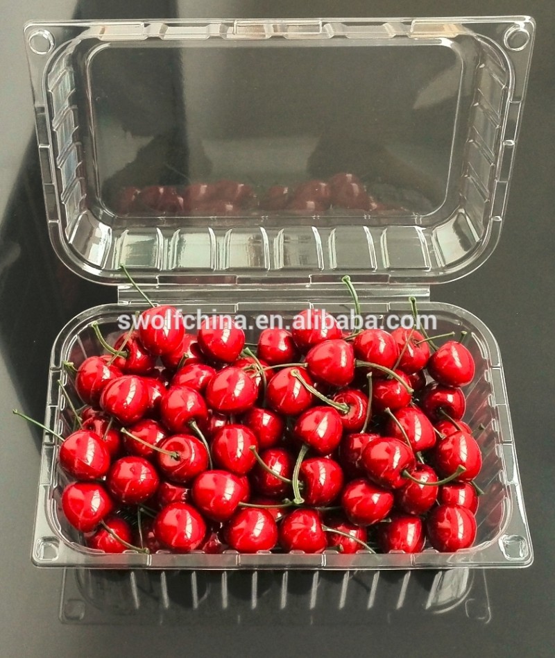最高品質のためのクラムシェルブリスター包装vegtable・果物-包装用トレー問屋・仕入れ・卸・卸売り