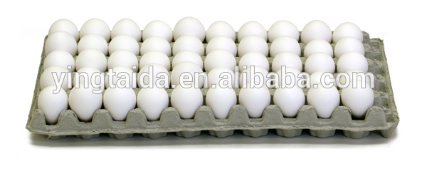 ウズラの卵トレイ紙-紙コップ問屋・仕入れ・卸・卸売り