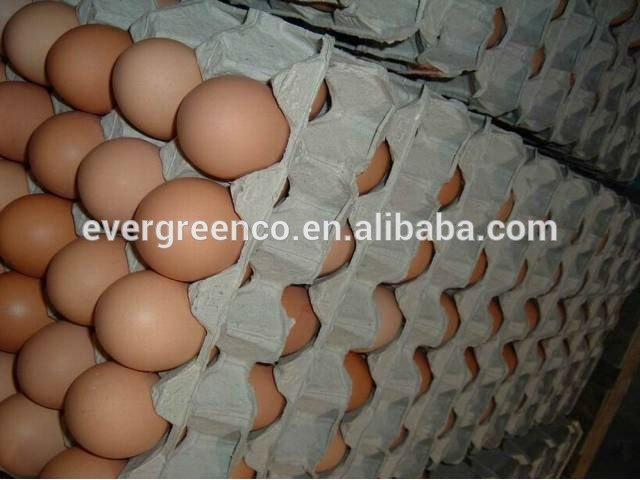 紙パルプの卵トレイの30空洞-包装用トレー問屋・仕入れ・卸・卸売り