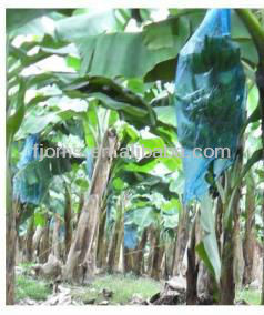 優れた抗punture青バナナの果物の木用pe袋-フィルム類問屋・仕入れ・卸・卸売り