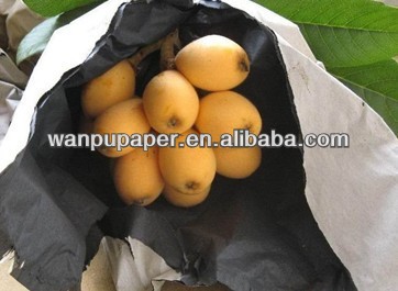 ビワ保護bag/ビワ果樹栽培紙袋のための-包装袋問屋・仕入れ・卸・卸売り