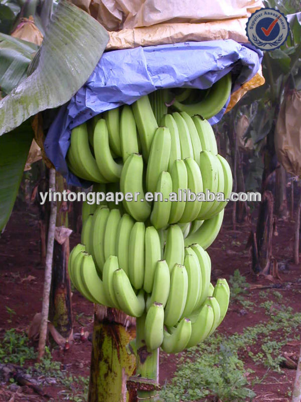の果実袋yintongバナナバッグ-包装袋問屋・仕入れ・卸・卸売り
