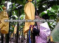 果物のバナナ栽培袋-包装袋問屋・仕入れ・卸・卸売り