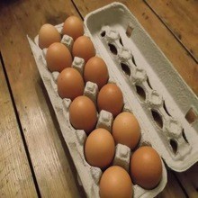 30穴再生紙パルプの卵トレイ-紙コップ問屋・仕入れ・卸・卸売り