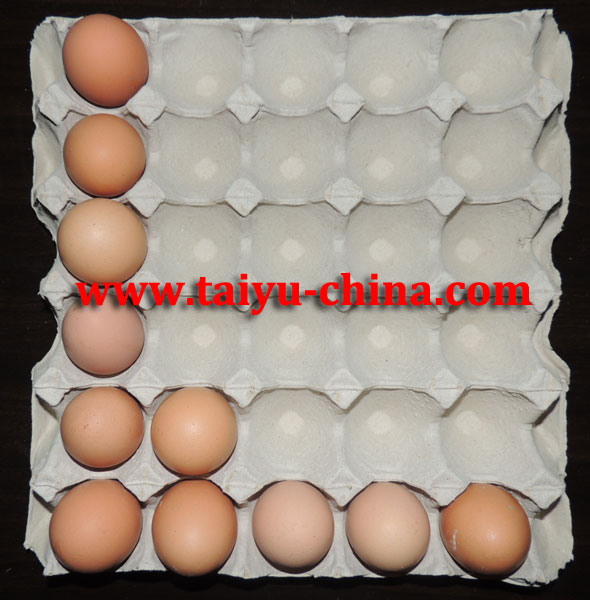 年間2014年taiyu紙の卵トレイの工場( 自動生産ライン)-包装用トレー問屋・仕入れ・卸・卸売り
