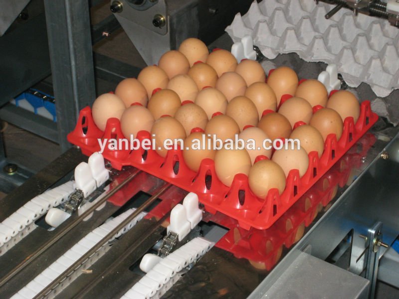 卵プラスチック30卵の包装トレイ-包装用トレー問屋・仕入れ・卸・卸売り