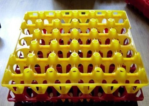 プラスチック製の卵のサポート-包装用トレー問屋・仕入れ・卸・卸売り