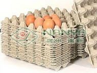 廃棄物の紙の箱/卵トレイ/卵の箱/卵のカートン-紙コップ問屋・仕入れ・卸・卸売り