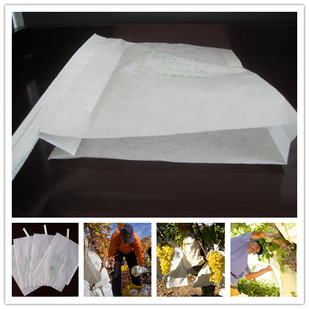 安い価格grpae栽培紙袋-包装袋問屋・仕入れ・卸・卸売り