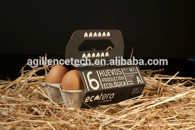 エコ- フレンドリーな紙の卵の箱ケース-紙コップ問屋・仕入れ・卸・卸売り