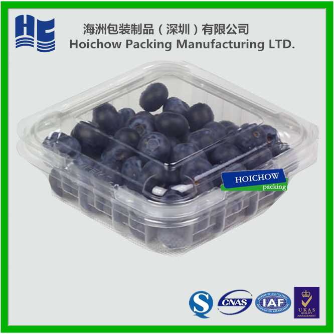人気のホット販売スーパー125g250g150グラム明確なブリスターが必要とするプラスチック製の果物の包装ボックス-包装用トレー問屋・仕入れ・卸・卸売り