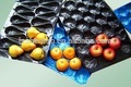 承認されたppのプラスチック果物の包装用トレーリンゴ用アボカド-包装用トレー問屋・仕入れ・卸・卸売り