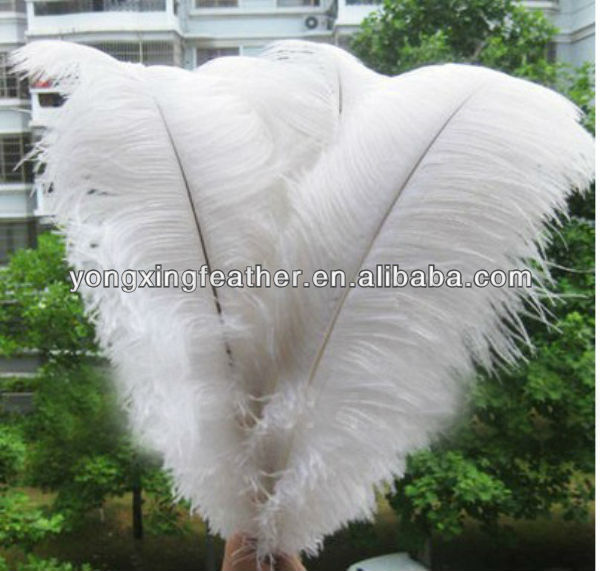 大きな白い65-70cm家の装飾のためのダチョウの羽-イベント＆パーティー用品問屋・仕入れ・卸・卸売り