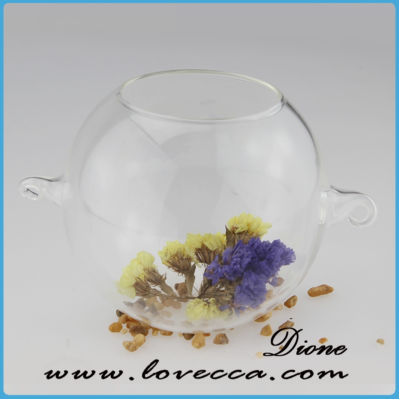 透明なクリアガラスの花瓶の目玉セラミックの装飾、 ホームガラスの花瓶の工芸品の装飾品、 甘い装飾的なクリアガラスのボール-航海上の工芸問屋・仕入れ・卸・卸売り