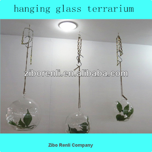 ボール形状クリアガラス花瓶水耕グローブグラステラリウム植物-ガラス製品問屋・仕入れ・卸・卸売り