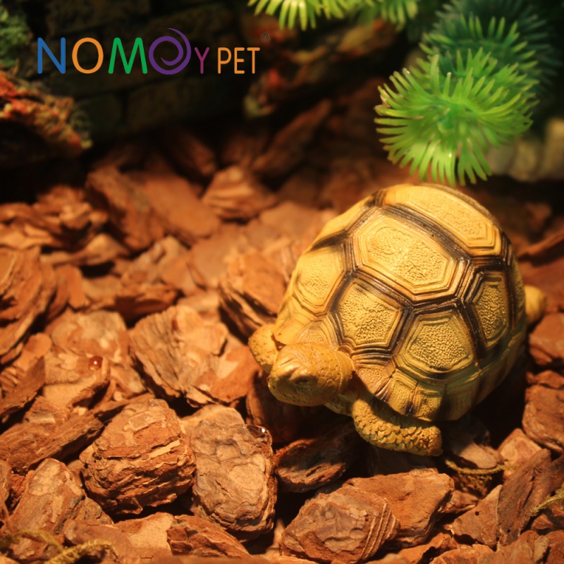 Nomo高速船マダガスカルカメモデル土産用装飾-樹脂工芸品問屋・仕入れ・卸・卸売り