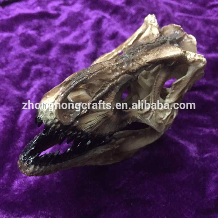 最新2015rresin壁の動物の頭部の彫刻/g029の恐竜の頭蓋骨-芸術コレクター商品問屋・仕入れ・卸・卸売り