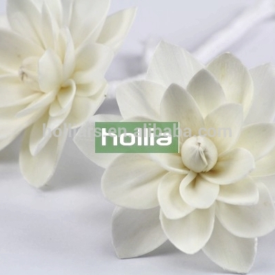 ソラ花のためのディフューザ、: 2008認定メーカーのソラ花-民芸品問屋・仕入れ・卸・卸売り