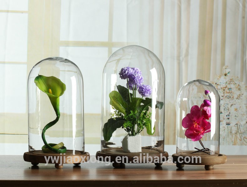 明確な装飾ベルジャードーム付きグラス木材地階の植物の花のための-民芸品問屋・仕入れ・卸・卸売り
