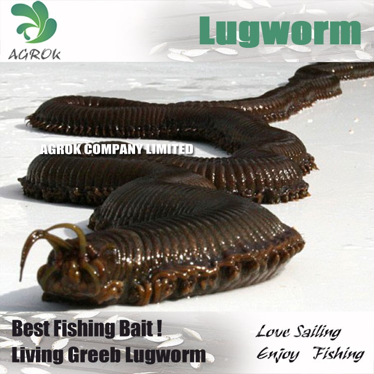 脂肪グリーンlugworm-ルアー問屋・仕入れ・卸・卸売り