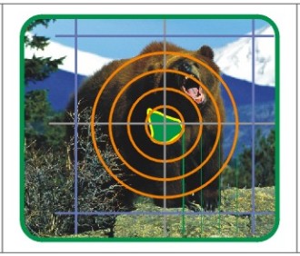 印刷絵柄3dクマ狩猟射撃訓練目標としてarcharyクマ-その他射撃用品問屋・仕入れ・卸・卸売り
