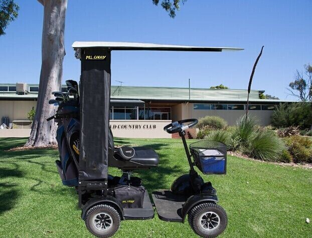 電動ゴルフカート1名車、 販売のための電動パーソナルトランスポーター-ゴルフカート問屋・仕入れ・卸・卸売り