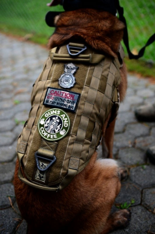 新しいスタイル2015狩猟犬のベスト-その他ハンティング用製品問屋・仕入れ・卸・卸売り