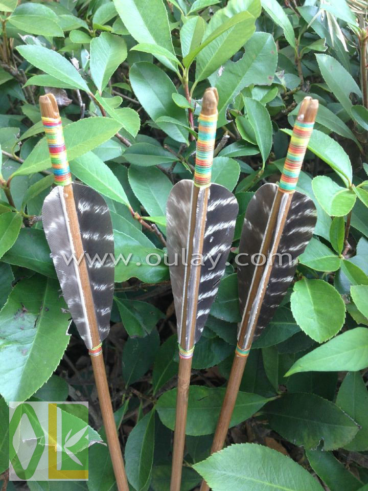竹矢印シャフトで自然七面鳥の羽狩猟竹アローズ-弓、矢問屋・仕入れ・卸・卸売り