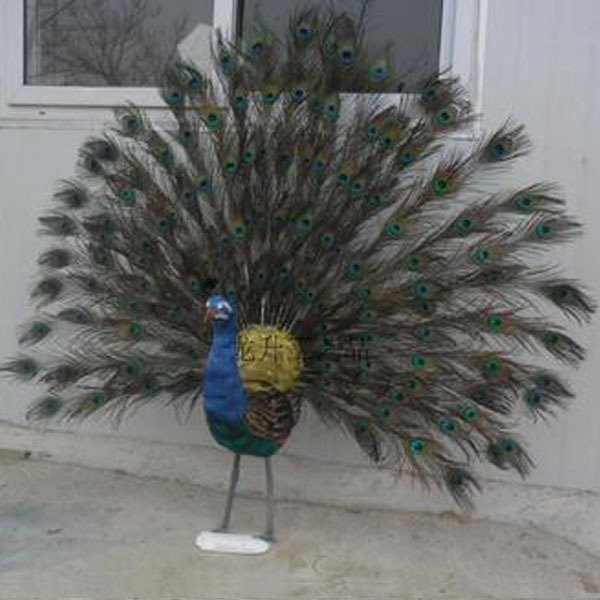 新しいのwonderfullcolourfull孔雀の装飾の鳥- 狩猟用デコイ問屋・仕入れ・卸・卸売り