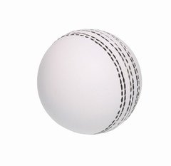 ホワイトクリケットボール-クリケット用品問屋・仕入れ・卸・卸売り