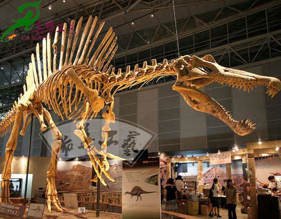 大規模な科学展示物人工恐竜の骨格レプリカ-その他遊園地用遊具問屋・仕入れ・卸・卸売り