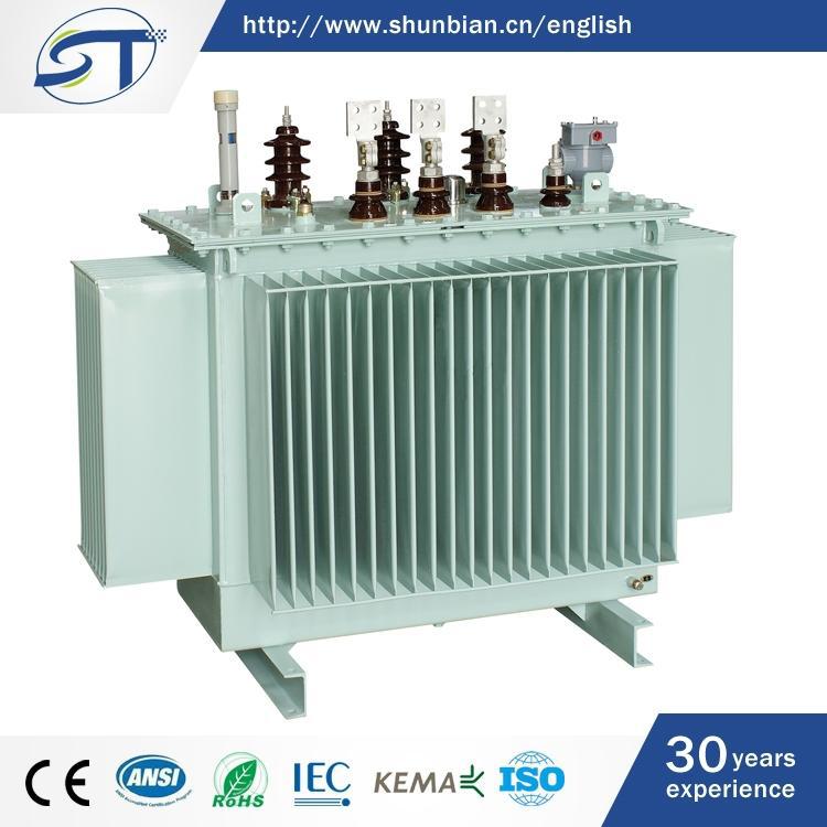 工場での販売のための中国3相電気機器オイルタイプの変圧器-変圧器、アダプター問屋・仕入れ・卸・卸売り